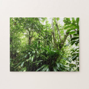 Quebra-cabeça Floresta Dominicana I Natureza Verde Tropical