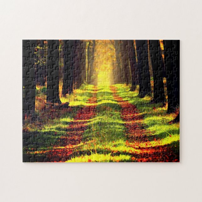 Quebra-cabeça Floresta - Estrada - Lindo (Horizontal)