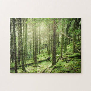 Quebra-cabeça Floresta no Kerry do parque nacional de