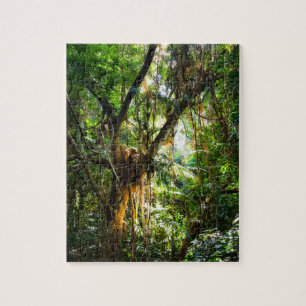 Quebra-cabeça Floresta Tropical