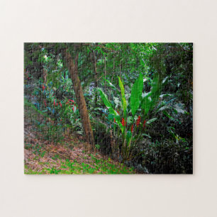 Quebra-cabeça Floresta Tropical de Grenada Caribe.