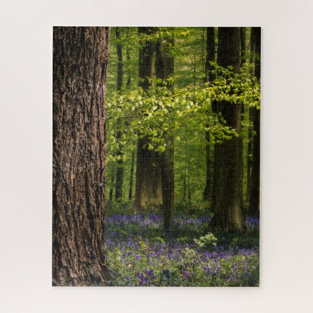 Quebra-cabeça Florestas | Bluebells na Bélgica (Vertical)
