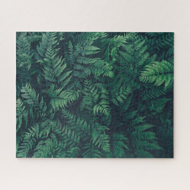 Quebra-cabeça Florestas | Ferns De Madeira (Horizontal)