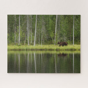 Quebra-cabeça Florestas Urso na Taiga Forest Norte, Finlândia