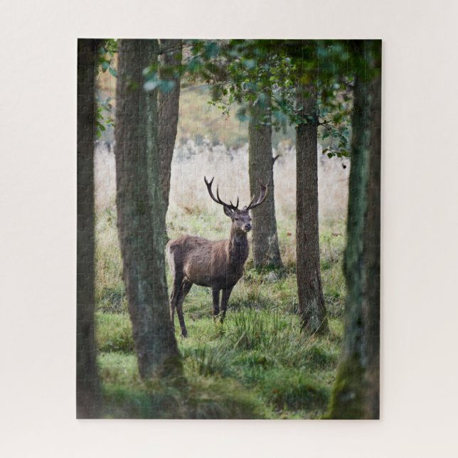 Quebra-cabeça Florestas | Woodlands & Red Deer (Vertical)