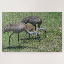 Quebra-cabeça Flórida Sandhill Cranes Caminhando Em Campo Verde