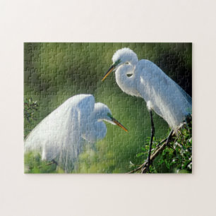 Quebra-cabeça Flórida, Veneza, Santuário Audubon, Garça-branca-g