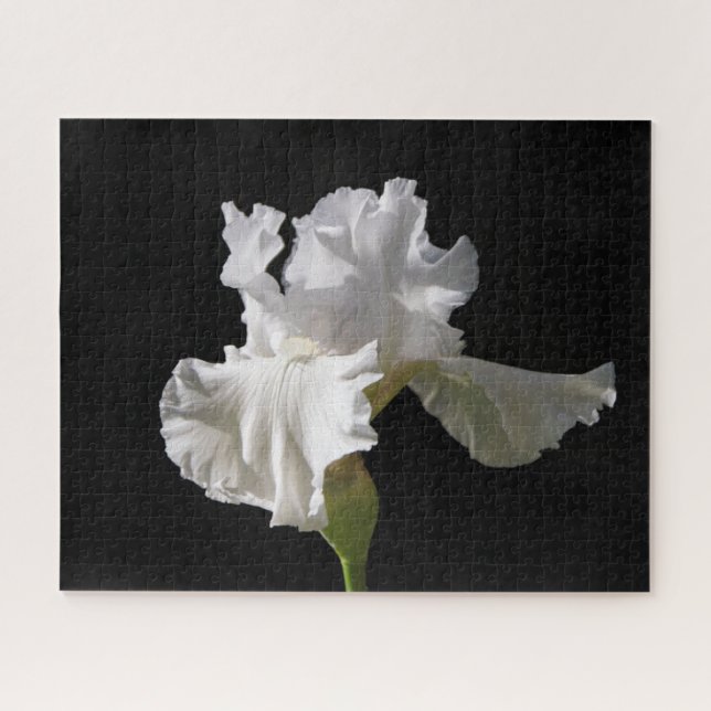 Quebra-cabeça Flowers | White Iris (Horizontal)