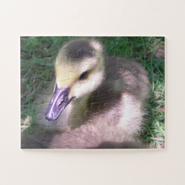 Quebra-cabeça Fluff and Stuff" (Horizontal)