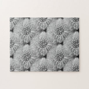 Quebra-cabeça Fluffy White Dandelion Flowers Natureza