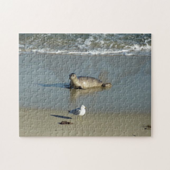 Quebra-cabeça Foca-comum em La Jolla Califórnia (Horizontal)