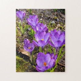 Quebra-cabeça Foco de Crocus!
