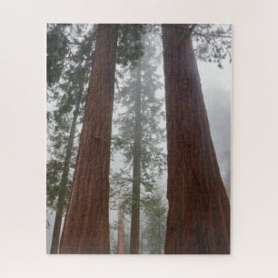 Quebra-cabeça Foggy Morning & Primavera Snow Sob Sequoia Gigante