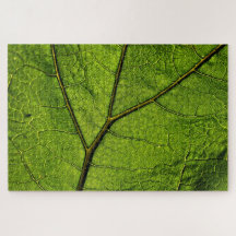 Folha de Borboleta Verde