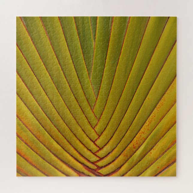 Quebra-cabeça Folha de palmeira (Horizontal)