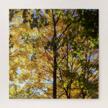 Folhagem Amarelo e Verde