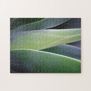 Quebra-cabeça Folhas da agave