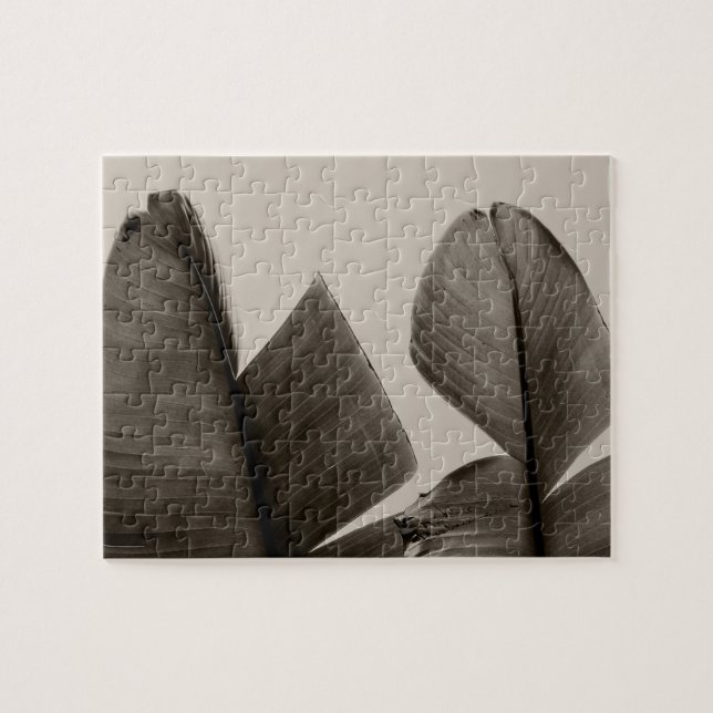 Quebra-cabeça Folhas de árvores de banana na Sepia (Horizontal)