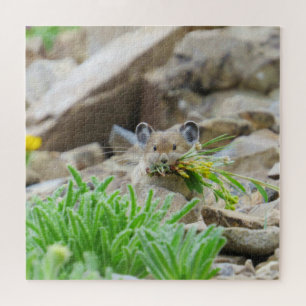 Quebra-cabeça Folhas E Flores De Pika Na Boca