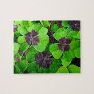 Quebra-cabeça Folhas Oxalis - Vermelho e Verde