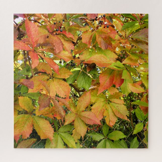 Quebra-cabeça Folhas selvagens da vinha do outono (Vertical)