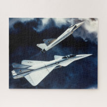 Força Aérea dos EUA =Conceito de Combatente Tático