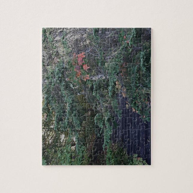 Quebra-cabeça Forest Steps in Early Autumn (Vertical)