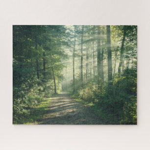 Quebra-cabeça Forests Forest Path Hamburg Germany