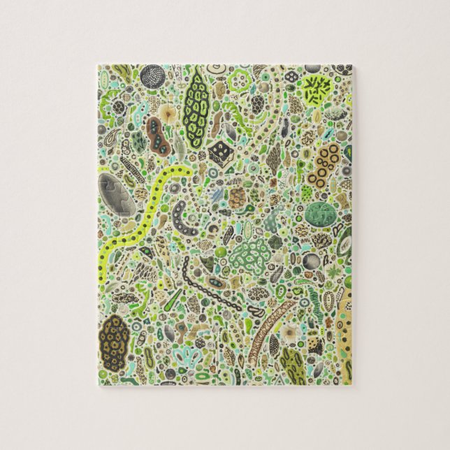 Quebra-cabeça Formas de vida (Vertical)