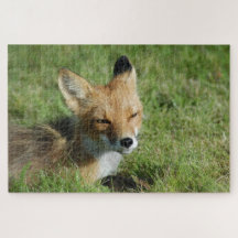 Forra fechada, Brooks Falls Alasca