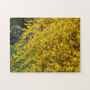 Quebra-cabeça Forsythia Amarela Flores Efeito Orton