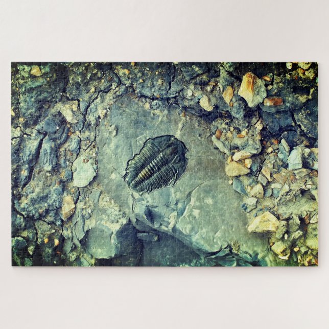 Quebra-cabeça Fóssil (Horizontal)