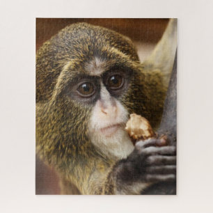 Quebra-cabeça Foto da árvore de treinar macaco subindo
