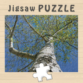 Quebra-cabeça Foto da Coroa da Árvore Birch -