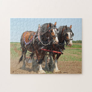 Quebra-cabeça Foto da Criação do Cavalo Clydesdale
