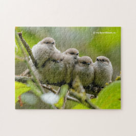Quebra-cabeça Foto da Família Songbird, Cute Bushtits