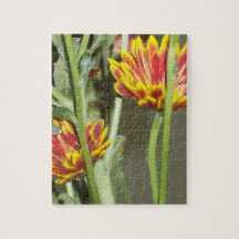 Foto da Flor da Visita