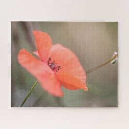 Quebra-cabeça Foto da Natureza da Flor Poppy