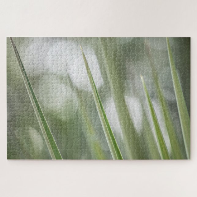 Quebra-cabeça Foto da natureza da planta verde (Horizontal)