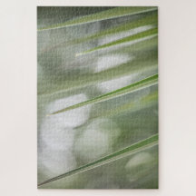 Foto da natureza da planta verde