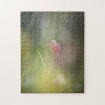 Foto da Natureza do Chess Flower