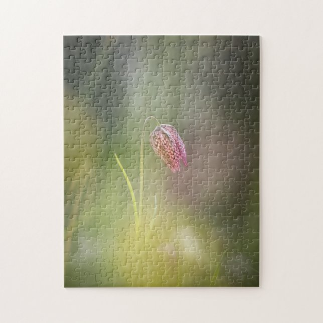 Quebra-cabeça Foto da Natureza do Chess Flower (Vertical)