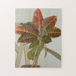 Quebra-cabeça Foto da Planta