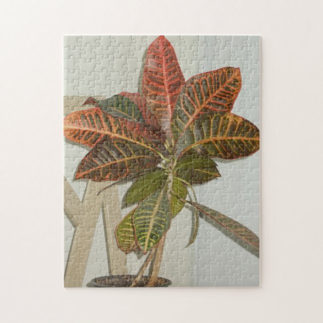 Quebra-cabeça Foto da Planta (Vertical)