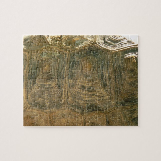 Quebra-cabeça Foto da Tortoise Shell Nature (Horizontal)