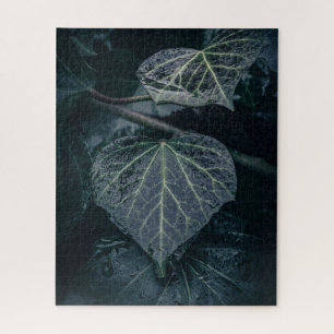 Quebra-cabeça Foto Dark Ivy Nature