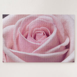 Quebra-cabeça Foto de aproximação rosa rosa rosa rosa rosa