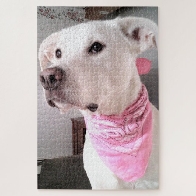 Quebra-cabeça Foto de Cachorro Branco-Bonito Vestindo Scarf Rosa (Vertical)
