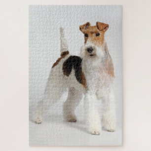 Quebra-cabeça Foto de Cão de Fox Terrier com Fio