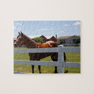 Quebra-cabeça Foto de Cavalo